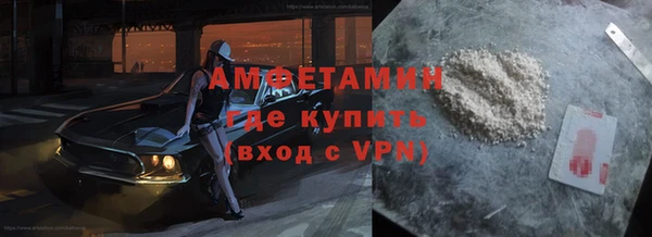 ГАЛЛЮЦИНОГЕННЫЕ ГРИБЫ Грязовец