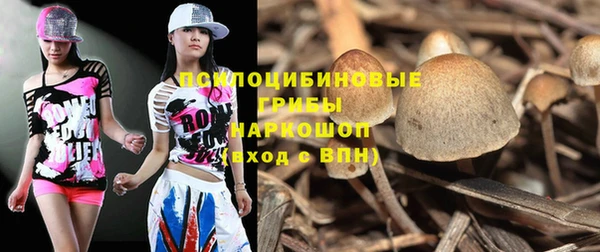 дурь Коряжма