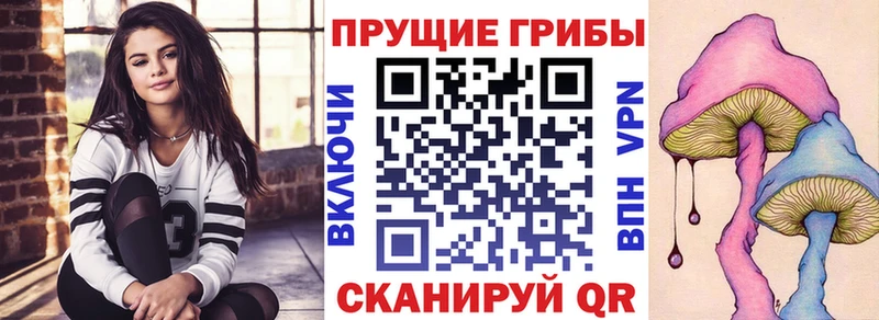 shop наркотические препараты  MEGA как войти  Кедровый  хочу наркоту  Псилоцибиновые грибы Magic Shrooms 